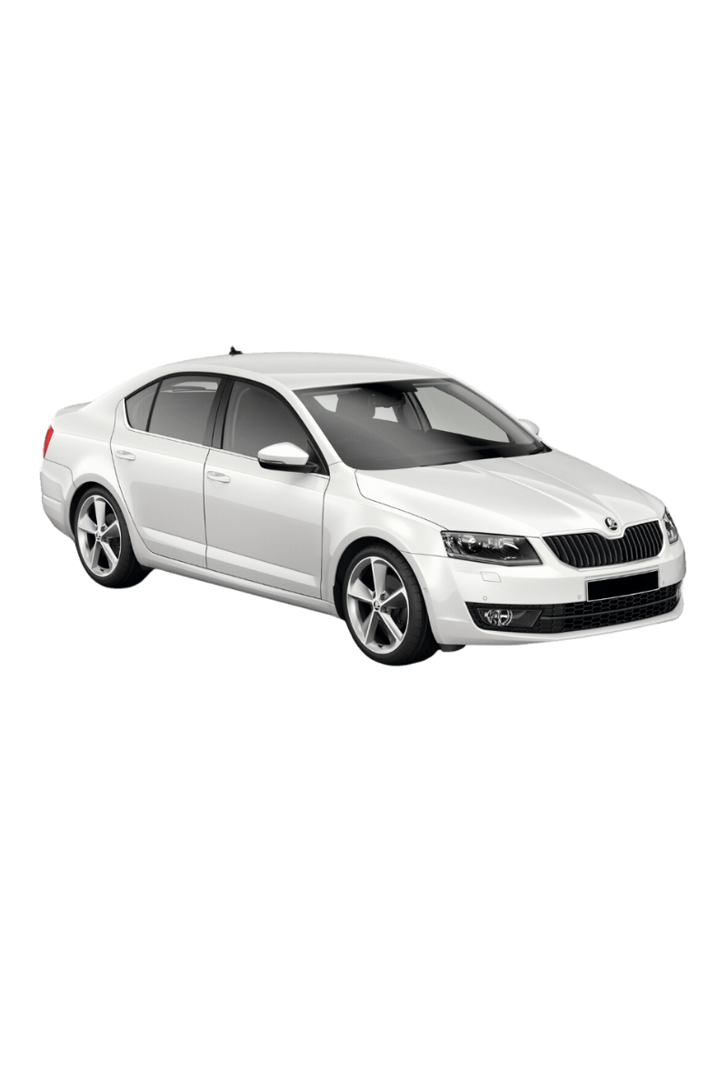 Skoda Octavia Araç Kiralama